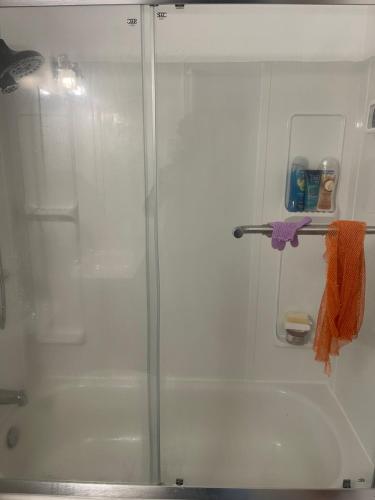 a shower with a glass door in a bathroom at Charming One Bedroom Near Bramalea City Centre in Brampton