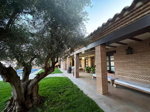 une maison avec un arbre et un banc dans une cour dans l'établissement La Flor del Granado, à Torrijos