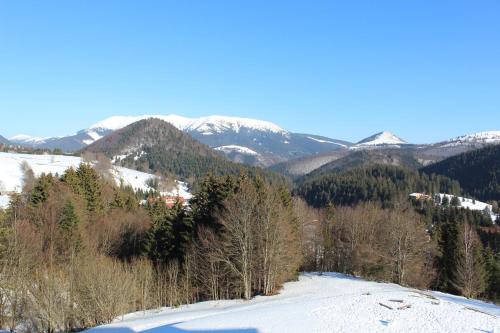 a snowy mountain with trees and snow covered mountains at Apartman MARLEA in Donovaly