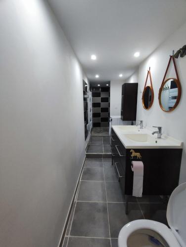 une salle de bain avec un lavabo et des toilettes dans l'établissement La maison de vos vacances, à Marmeaux