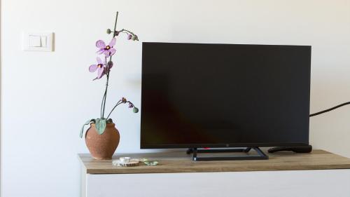 uma televisão sobre uma mesa com um vaso com uma planta em Tenute Donna Franca em Elice