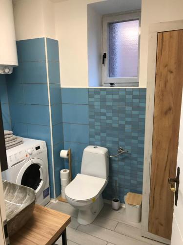 a bathroom with a toilet and a washing machine at Greta's place - Elegant home with Exclusive location and Seaview in Izola