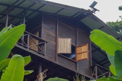 a tree house with open windows and leaves at Mano Verde Minca in Minca