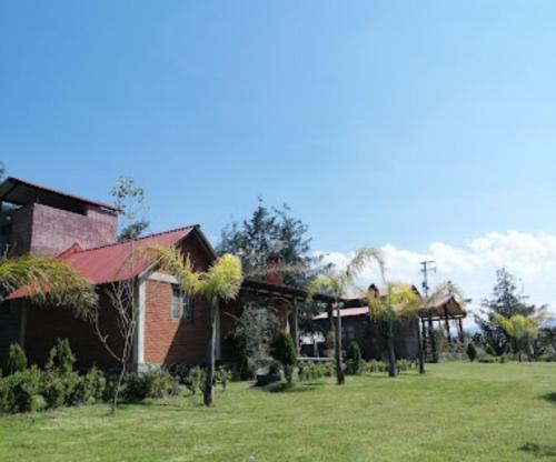 un groupe de maisons avec des palmiers dans une cour dans l'établissement Cabañas El huizache, à Huasca de Ocampo