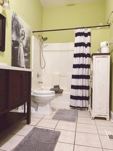a bathroom with a toilet and a shower and a sink at Kathy's Place - Pet Fee Additional Charge in Lexington
