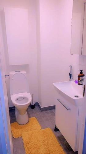 uma casa de banho com um WC branco e um lavatório. em Room in Helsinki area em Helsinque