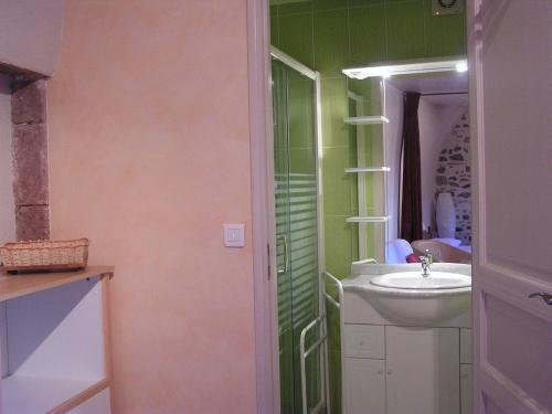 uma casa de banho com paredes verdes e um lavatório em Chez Bernard et Michèle em Manglieu