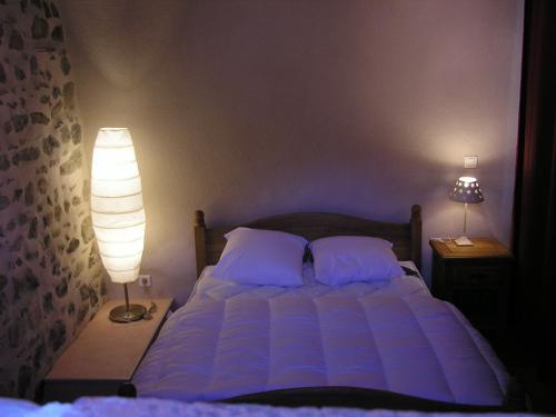 um quarto com uma cama com duas almofadas e um candeeiro em Chez Bernard et Michèle em Manglieu