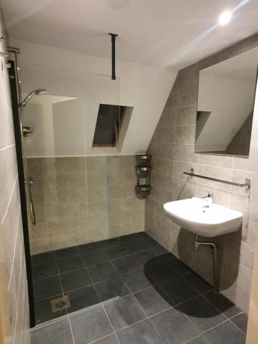uma casa de banho com um lavatório e um chuveiro em Vakantiehuisje in Gramsbergen em Gramsbergen