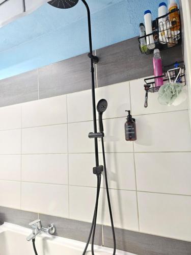 una doccia con microfono in bagno di Doppelzimmer 2 I geteiltes Bad & Küche I mit dem Zug nur 4 min bis zum Hauptbahnhof a Friburgo in Brisgovia