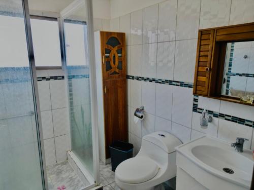 ein Bad mit einem WC, einem Waschbecken und einer Dusche in der Unterkunft HERMOSA Y MODERNA CASA VACACIONAL in La Serena