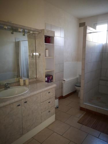 une salle de bain avec un lavabo, une douche et des toilettes dans l'établissement La maisonnette, à Cléry-Saint-André