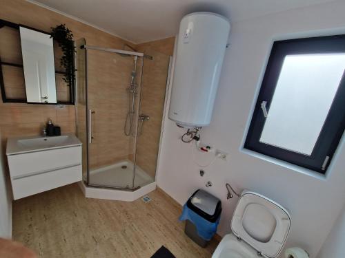 a bathroom with a shower and a toilet and a sink at Alex Residence in Otopeni