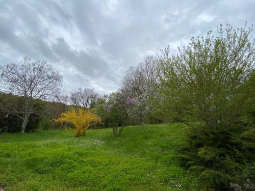 un champ d'herbe verte avec des arbres en arrière-plan dans l'établissement charmante maison de campagne, à Jonzac