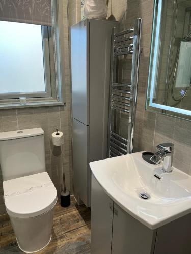 a bathroom with a toilet and a sink and a refrigerator at Woodside-Filey in Filey