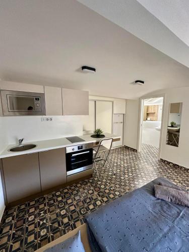 una cocina con fregadero y encimera en Palac Anežka A1, en Brno