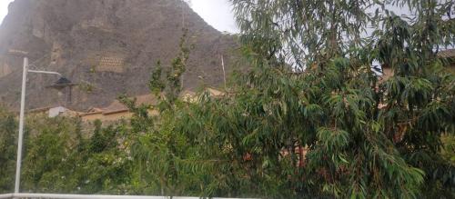 a tree with a mountain in the background at Hospedaje La Ñusta in Ollantaytambo