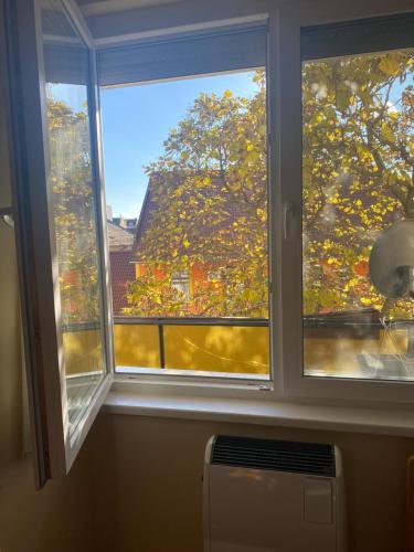 une fenêtre avec vue sur un arbre dans l'établissement Ögünc’s Apartment, à Szeged