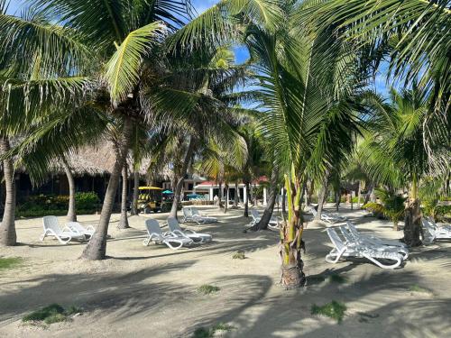 a group of chairs and palm trees on a beach at Captain Morgan's Retreat in San Pedro