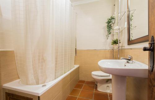 y baño con lavabo, aseo y ducha. en Pueblos Blancos 2 Rooms Vistas, en Benaocaz