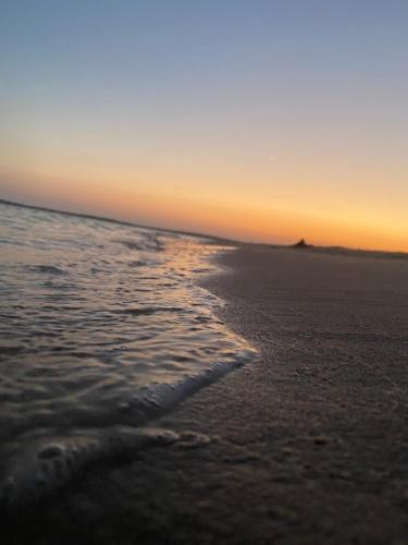 a view of the beach at sunset at Blend in Nature Eco Camp Beachfront Stay in Ras Mohamed, Sharm El Sheikh in Sharm El Sheikh