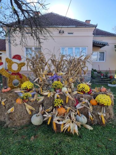 Galería fotográfica de Hacijenda Milosavljević en Vrnjačka Banja