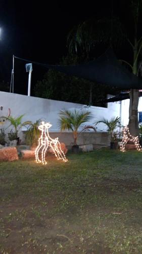 un grupo de luces de jirafa en el césped por la noche en Cuarto 2, en Oxkutzcab