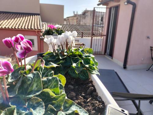 un vaso con fiori e piante su un balcone di KROKOS Ortigia a Siracusa