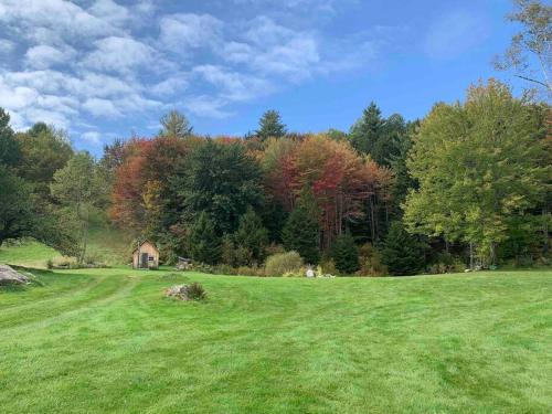 a green field with a house in the middle of a forest at The Hunter Cabin at Sky Hollow in Rochester