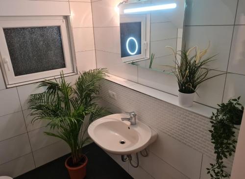 ein Badezimmer mit einem Waschbecken, einem Spiegel und Pflanzen in der Unterkunft Business Apartment/Loft nähe Bonn in Königswinter