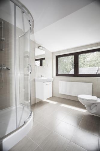 a bathroom with a shower and a sink and a toilet at W Starym Młynie in Milicz