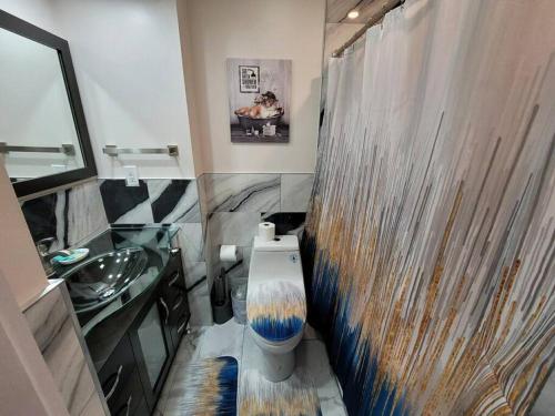 ein Badezimmer mit Toilette, Waschbecken und Dusche in der Unterkunft Contemporary bliss-newly renovated cozy villa! in Hilton Head Island