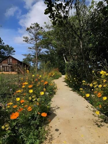 a dirt path through a field of flowers at Romantic house 2 on a pine hill Dalat in Da Lat