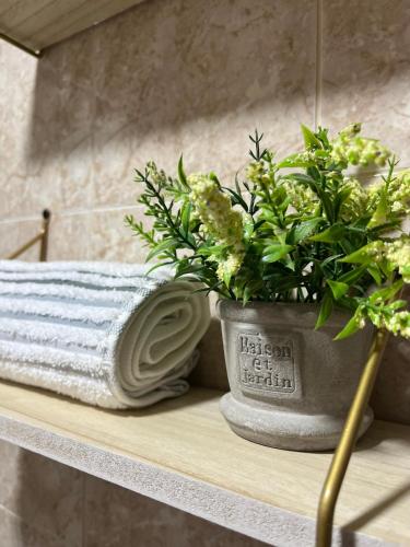 a potted plant sitting on a shelf in a bathroom at Apartaestudio Encanto Pacífico in Cali