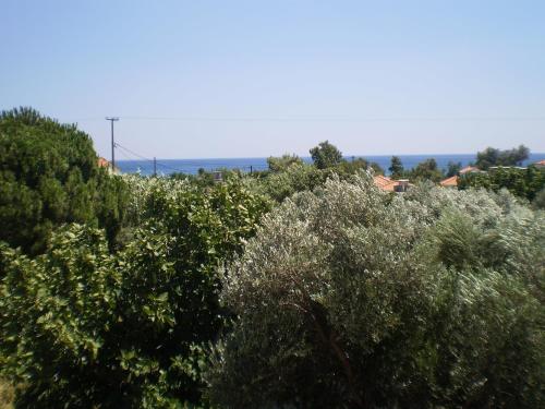 a bunch of trees and bushes on a hill at So Nice Hotel in Marathokampos
