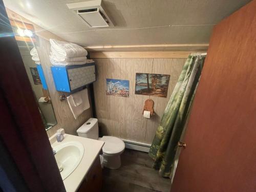a small bathroom with a toilet and a sink at NTJ Moose Lake Cabin in Bonnyville