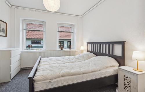 a bedroom with a large bed and two windows at Nice Apartment In Snderborg With Kitchen in Sønderborg