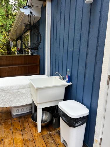 baño con lavabo y pared azul en Raven's Cache Bed and Breakfast en Ganges