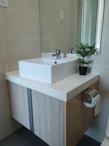 a bathroom with a sink with a potted plant on it at Southbay Seaview Condo A11 #Queensbay #SPICE in Bayan Lepas