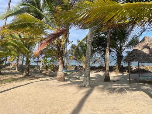 a hammock on a beach with palm trees at Jumamosi Beach Villa in Ushongo Mabaoni