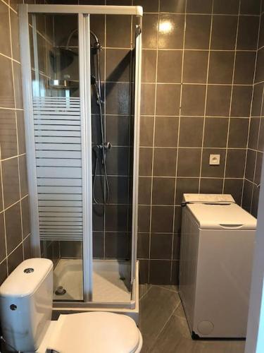 a bathroom with a shower and a toilet in it at Jolie petite maison cosy in Orly