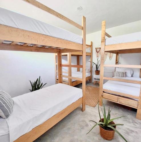 Двуетажно легло или двуетажни легла в стая в Surf N Roll House