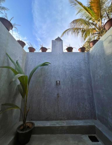 a concrete wall with potted plants on top of it at Amaroo Hikkaduwa in Hikkaduwa