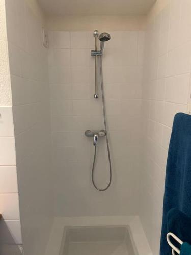 La salle de bains est pourvue d'une douche et d'une serviette bleue. dans l'établissement L'appartement de la Garenne, à Carnac