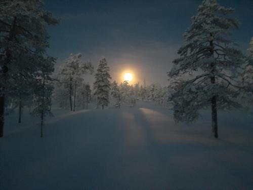 a snow covered forest at night with a full moon at Experience accommadation Eco-Unela in Rovaniemi