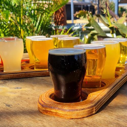 a tray of glasses of beer on a table at Ningaloo Lodge Exmouth in Exmouth