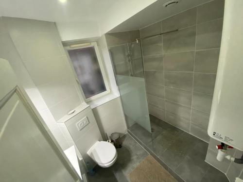 a small bathroom with a toilet and a shower at Le confort d'un appartement in Schiltigheim