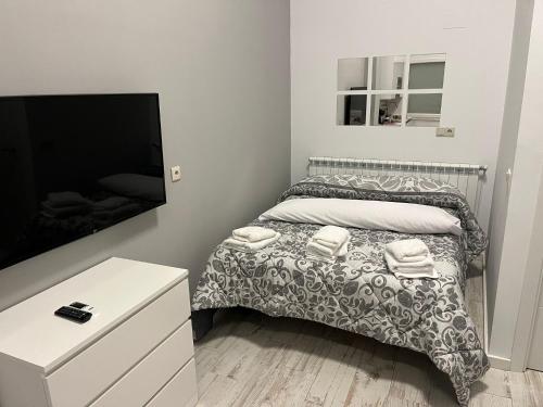 1 dormitorio con 1 cama y TV de pantalla plana en Apartamento SAGESA, en Salamanca