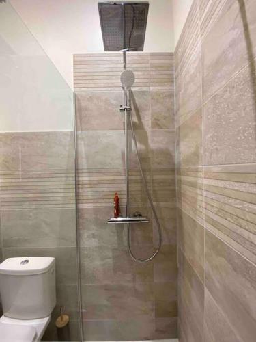 y baño con ducha y aseo. en Logement entier-Clim-100%équipé-Hypercentre-Balcon, en Brive-la-Gaillarde