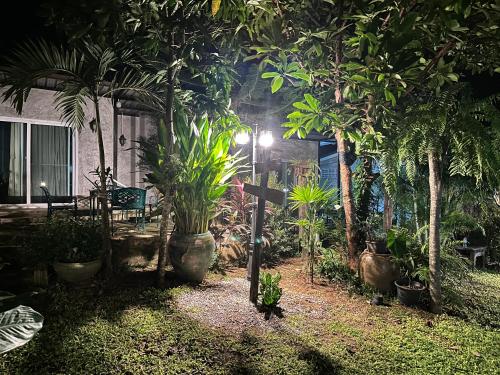 un jardín nocturno con palmeras y luz en WildHomeบ้านพัก ปากช่อง-เขาใหญ่, en Pak Chong